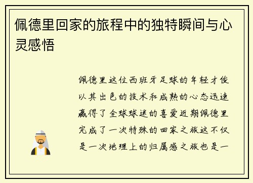 佩德里回家的旅程中的独特瞬间与心灵感悟