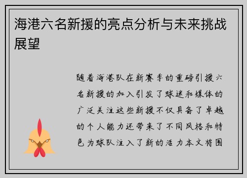 海港六名新援的亮点分析与未来挑战展望