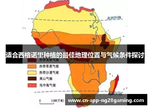 适合西格诺里种植的最佳地理位置与气候条件探讨