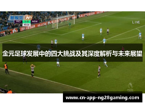 金元足球发展中的四大挑战及其深度解析与未来展望
