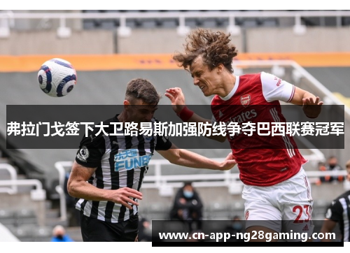 弗拉门戈签下大卫路易斯加强防线争夺巴西联赛冠军 弗拉门戈签下大卫路易斯加强防线争夺巴西联赛冠军