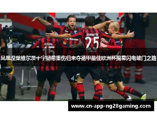 凤凰涅槃维尔茨十字韧带重伤归来夺德甲最佳欧洲杯揭幕闪电破门之路